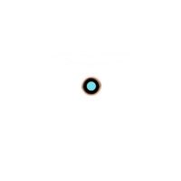 Vidrio De Camara Iphone 8G / Se2020 Dorado